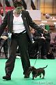 Crufts2011_2 1554